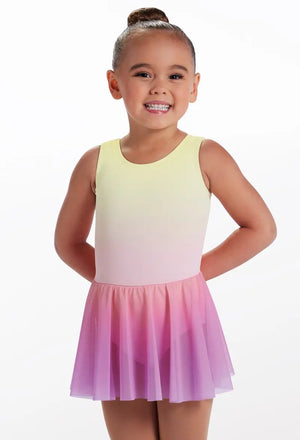 Sugar Ombré Dress Leotard